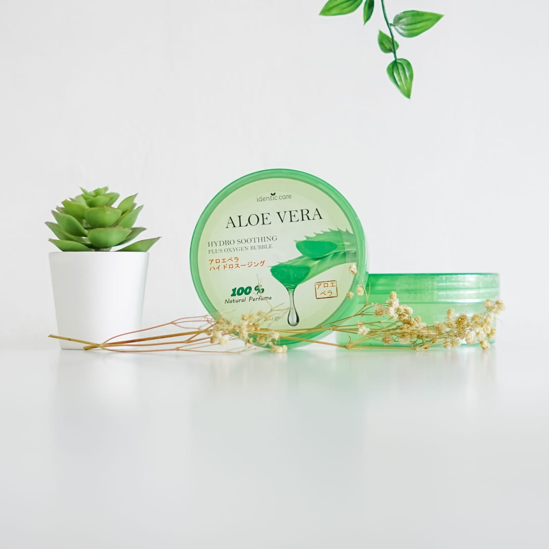 ALOE VERA